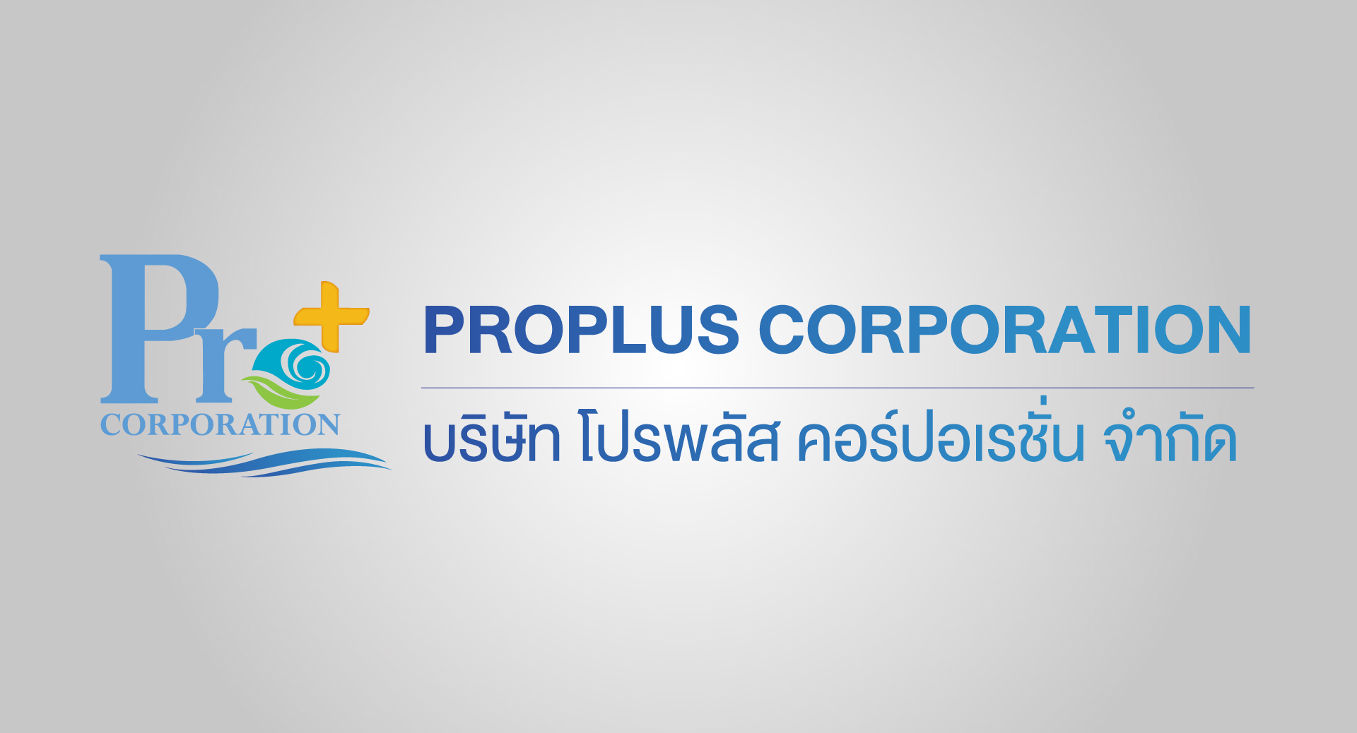 ProPlus Corporation