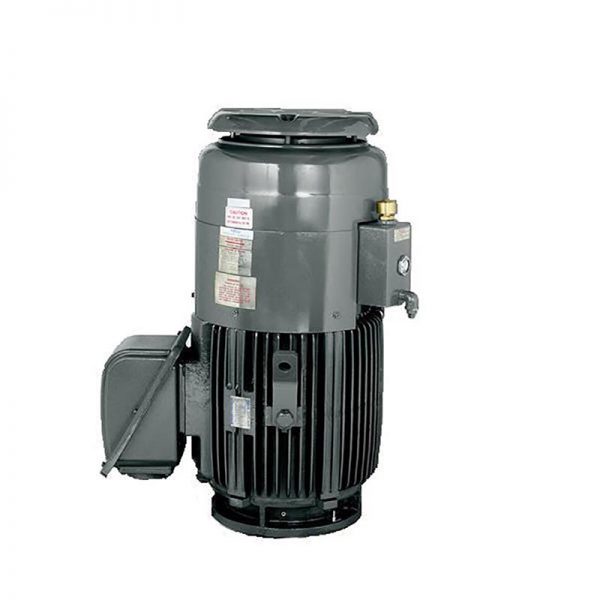 TECO AEBH Vertical Hollow Shaft Motor